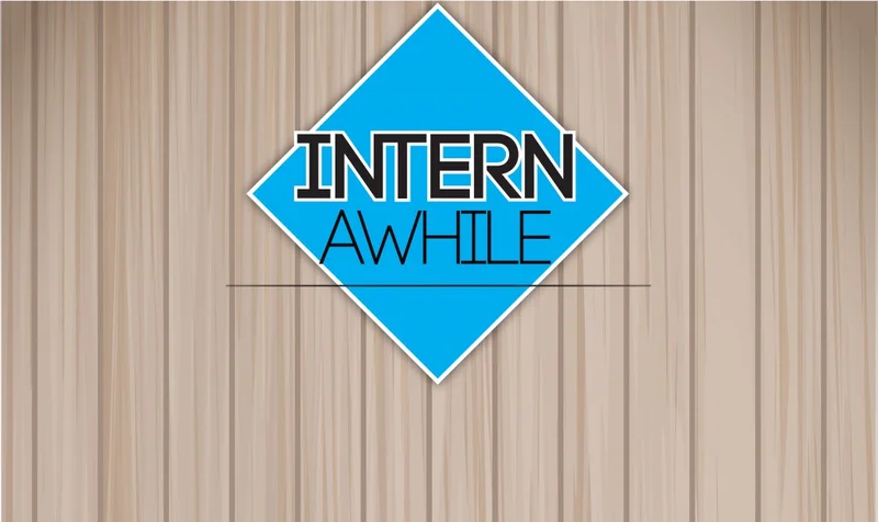 The Internship Story