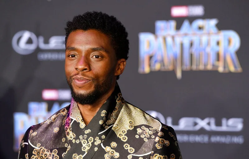 Chadwick Boseman, Black Panther
