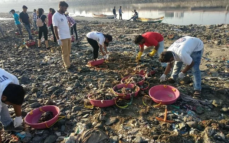 A Step To Make The Environment Clean: Mi