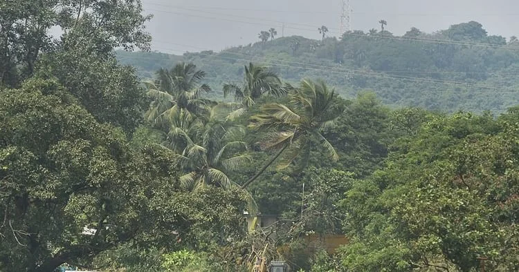 Mumbai Aarey colony, IAF