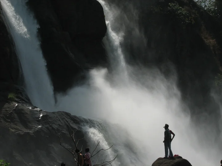 85086371_6836772d26_b credit sjoe