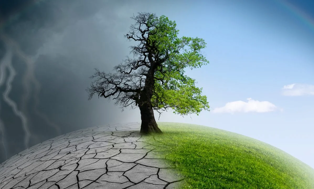 Climate Awareness At Home And School: Wh