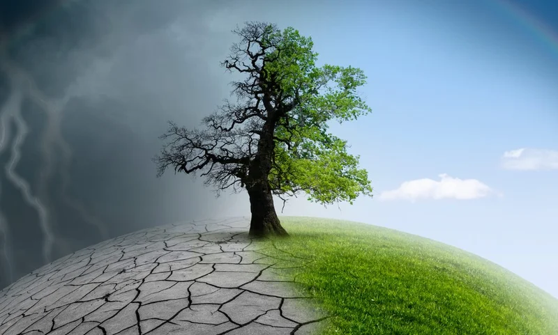 Climate Awareness At Home And School: Wh