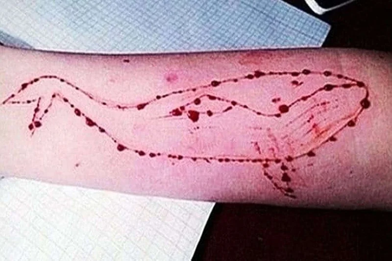 The Blue Whale Challenge: Identifying Vu