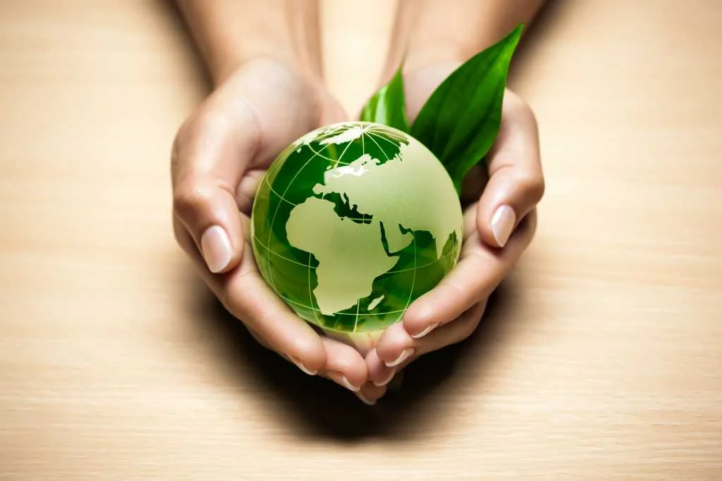 16 Simple Ways to Go Green