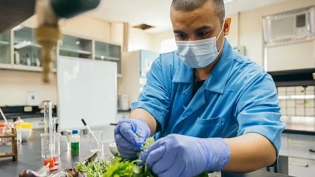 sustainability award