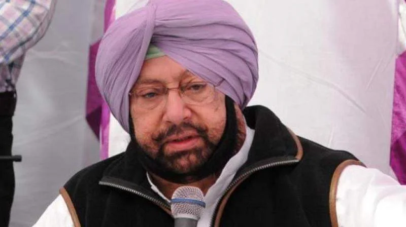 Three decades later, Punjab to hold stud
