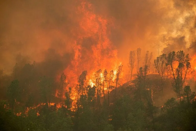 California wildfires