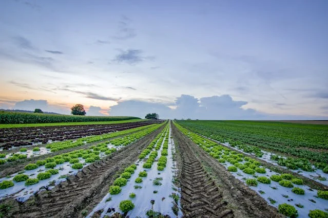 What Is Agritech And How Is It Shaping A