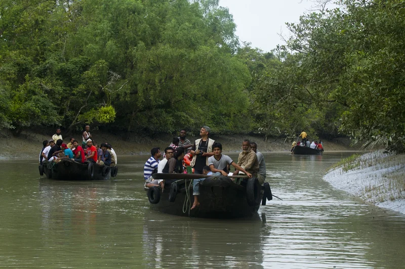 sunderbans