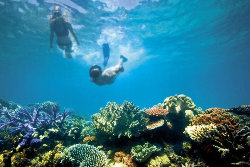 Great barrier reef