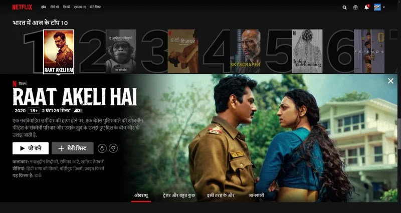 Netflix, hindi interface