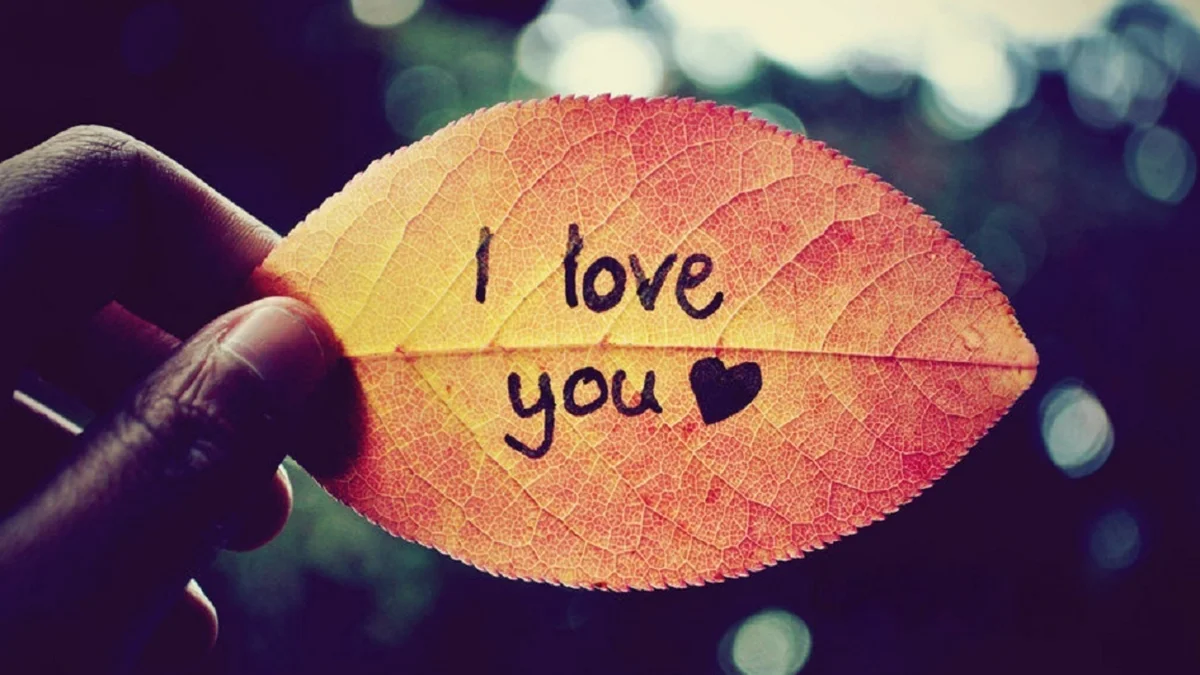10 Things I Love About You
