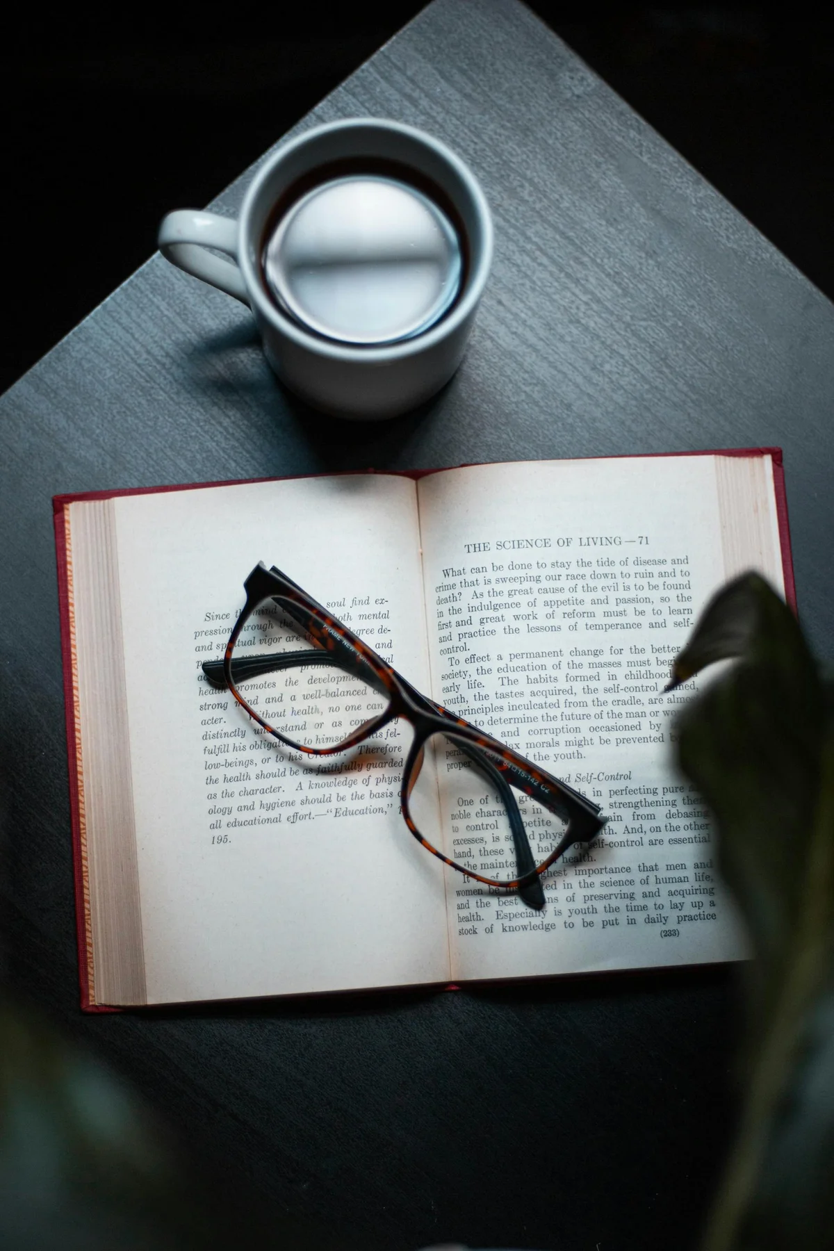 How Philosophy Improves Academic Thinking and the Career Paths It Opens