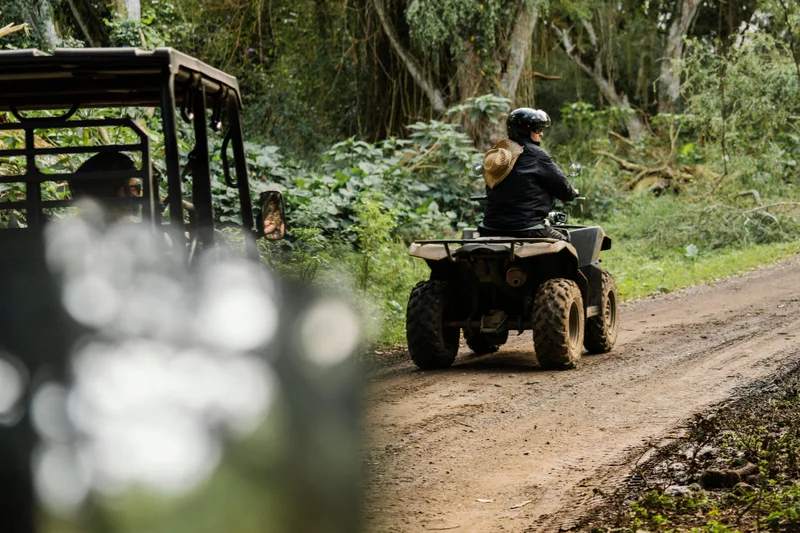 Monsoon safari