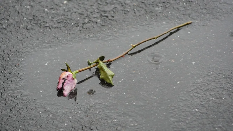 How Corrosive Is Acid Rain?