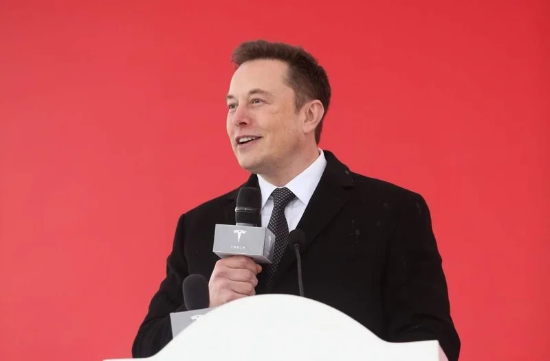 Elon Musk, Indian market