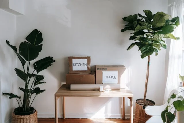 Moving Out vs Staying In: What You Shoul