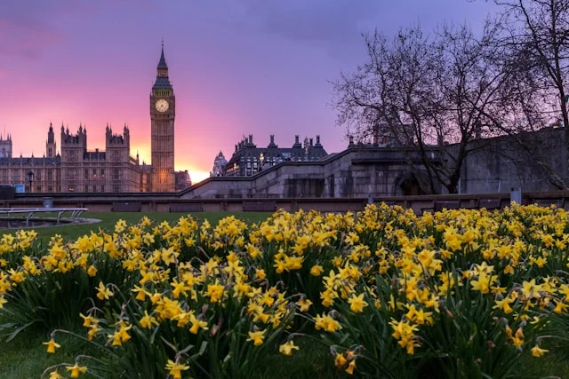 Why London Should Be on Every Solo Traveller’s List