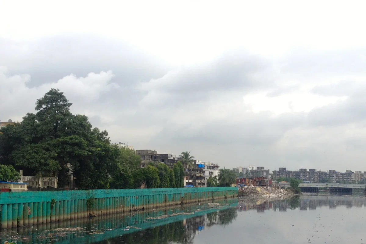 Mumbaikars Choose Mangroves Over Sewage