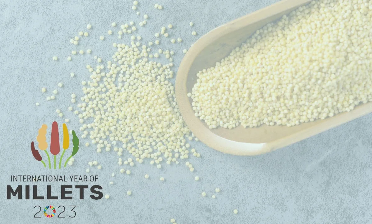 International Year of Millets