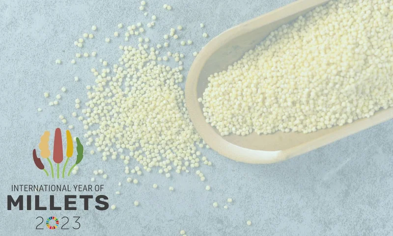 International Year of Millets