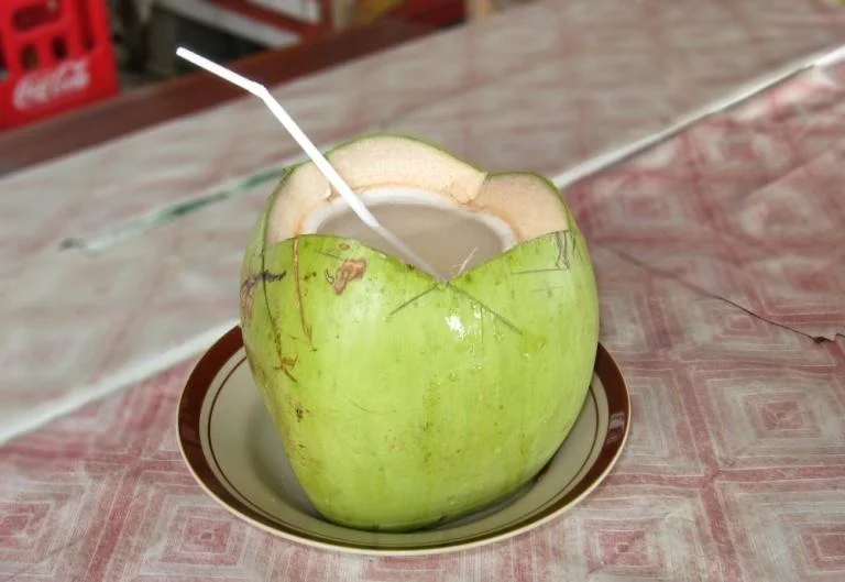 coconut water - wikipedia.jpg
