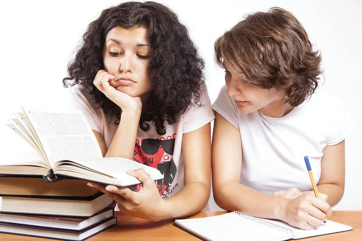 Let's Study, Buddy!