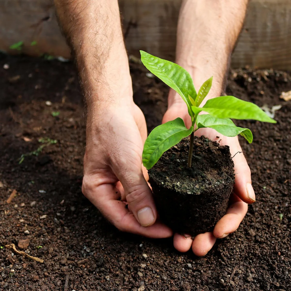 How Can You Take on More Green Projects?