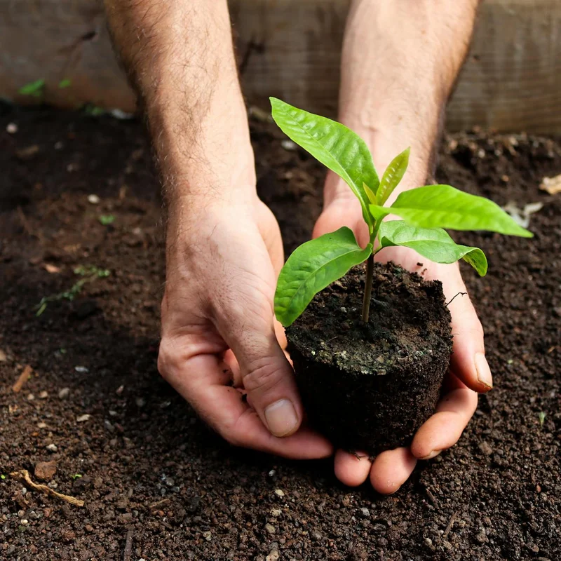 How Can You Take on More Green Projects?