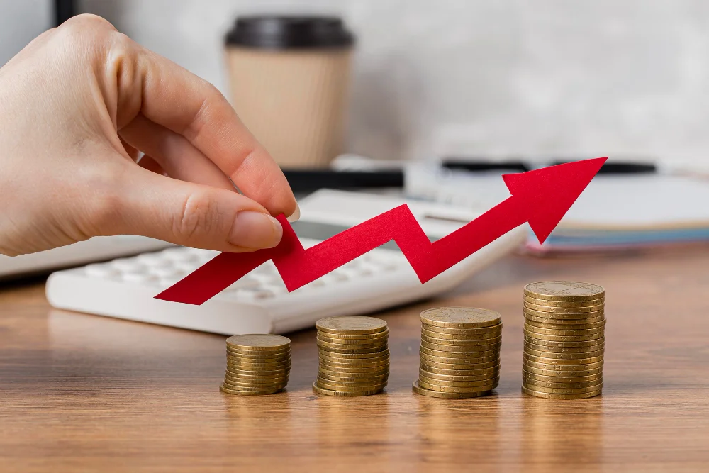 A Beginner’s Guide For First-Time Invest