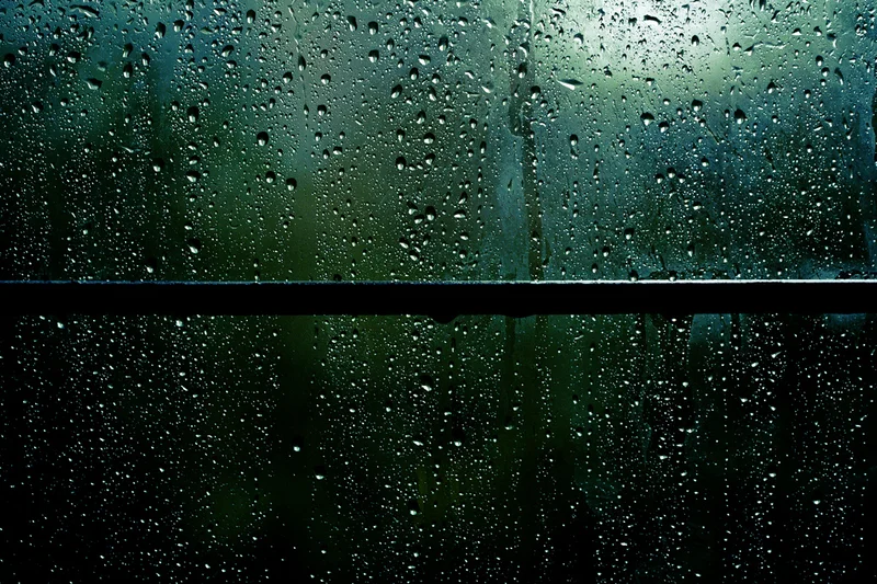 Image by Nishanth Jois, Flickr