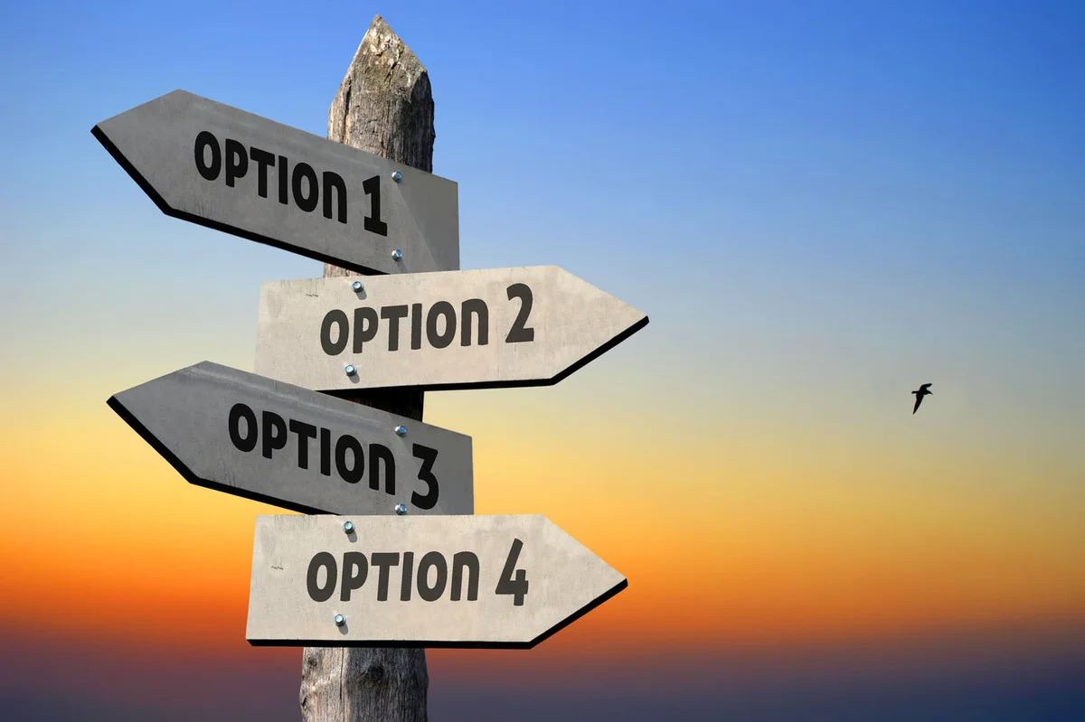 Career Options In Arts After 12th