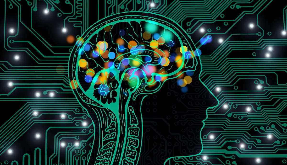 Top 5 Data Science Courses To Study In I