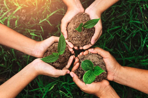 Researchers Identified 5 Sustainable Dev