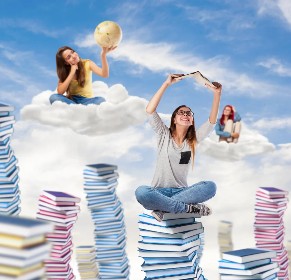Fences Of Books
