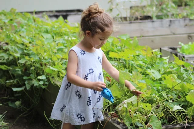 Spring Gardening Hacks: Some Quick Tips For Busy Moms