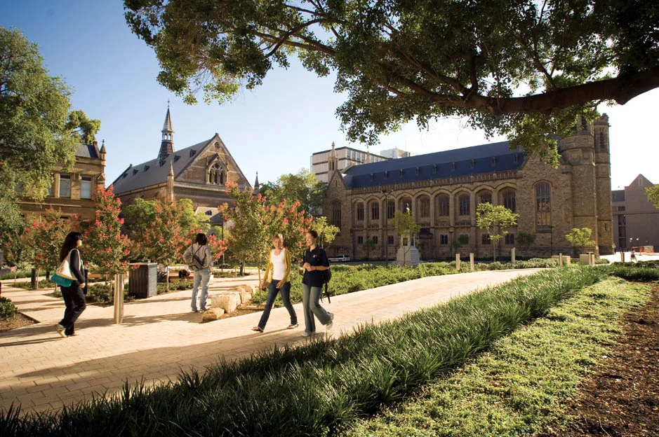 A student’s guide to choosing the right
