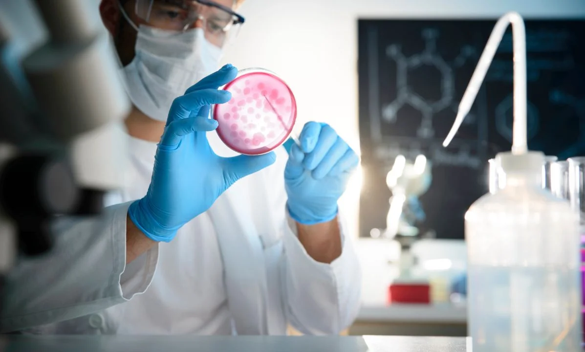 Bachelor Of Science In Microbiology: Top