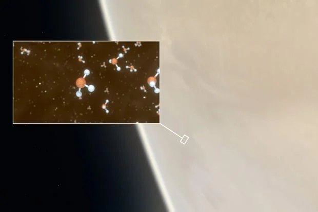 Venus, life on Venus