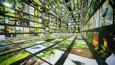 Art Meets Artificial Intelligence: Discover Dataland, the World's First AI Museum
