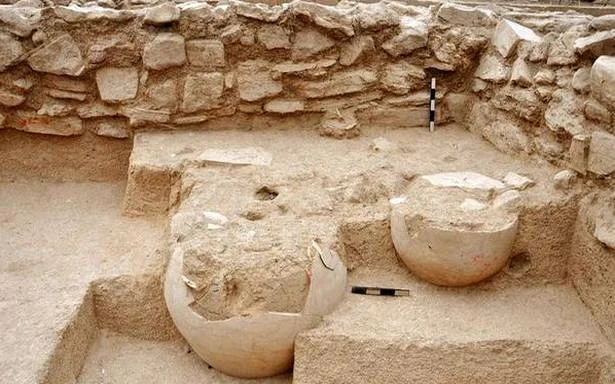 Indus Valley Civilization, Dairy farming