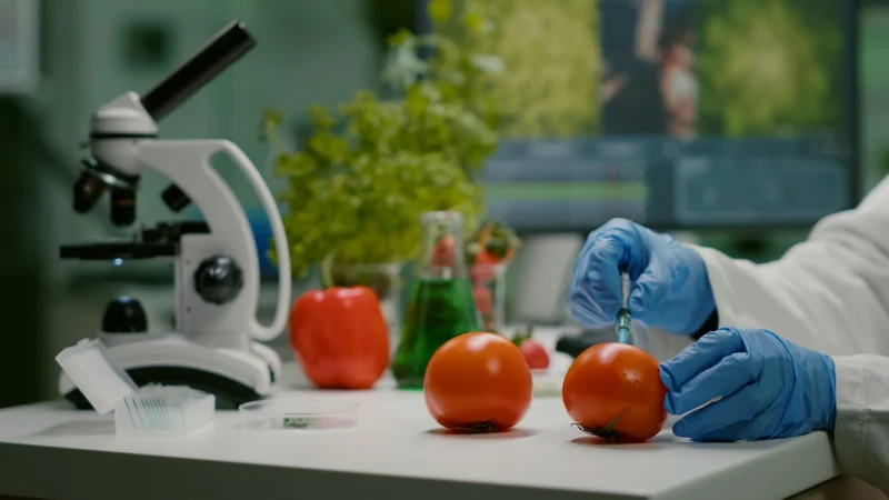 A Career In Food Technology: Ensuring Sa