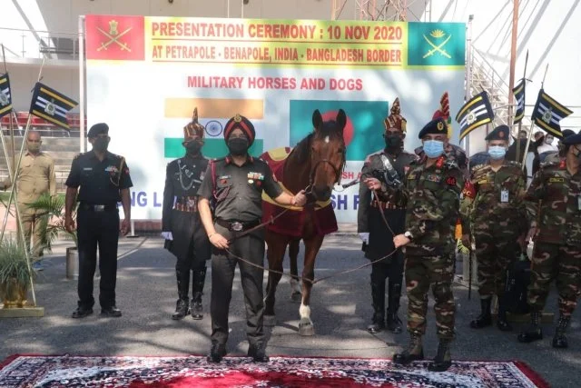military horses, Arunachal