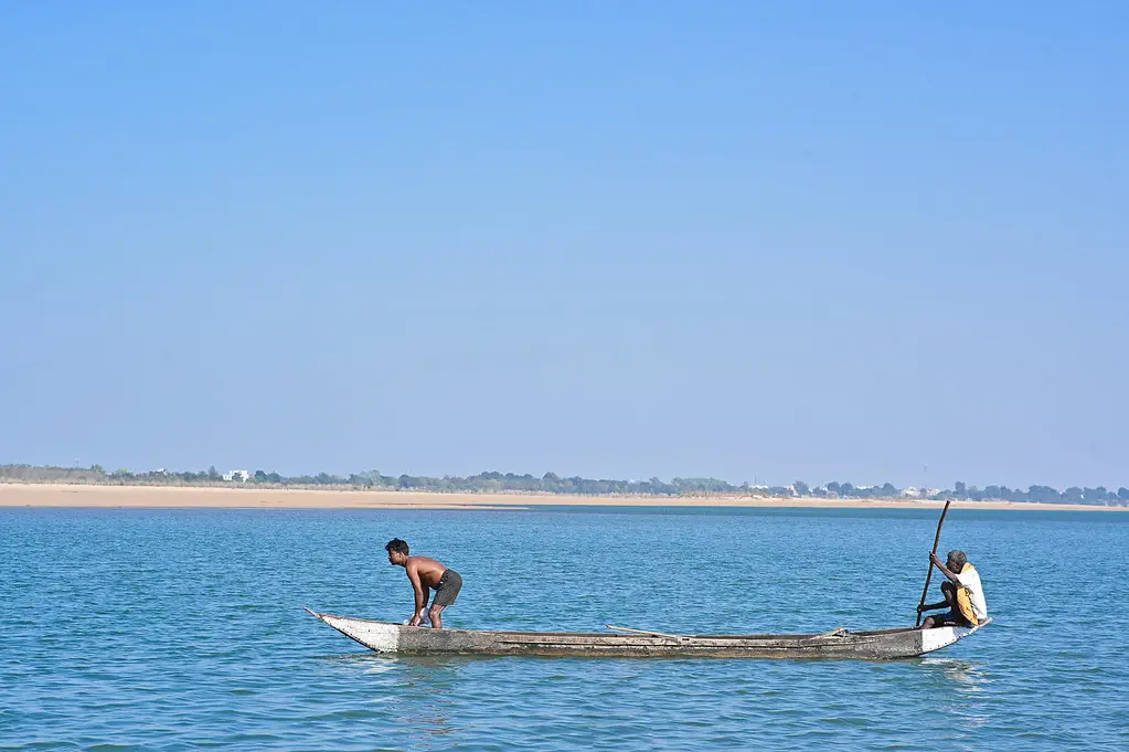 What Is Fisheries Science? A Guide to Courses and Careers in India’s Blue Economy