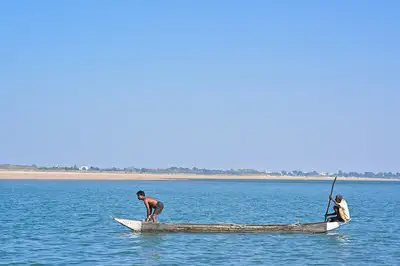 What Is Fisheries Science? A Guide to Courses and Careers in India’s Blue Economy