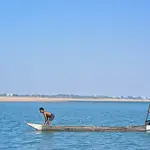 What Is Fisheries Science? A Guide to Courses and Careers in India’s Blue Economy