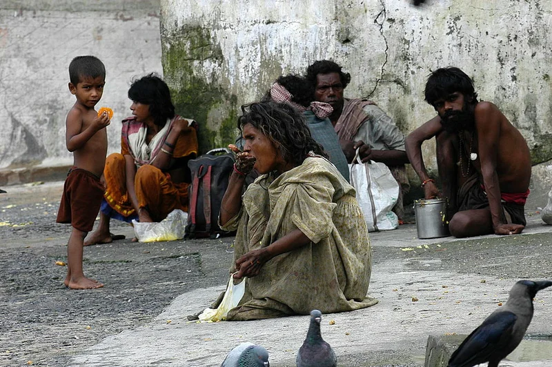India No More Houses The Largest Number 