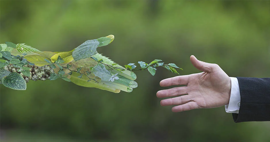 Indian Companies Practicing Sustainabili