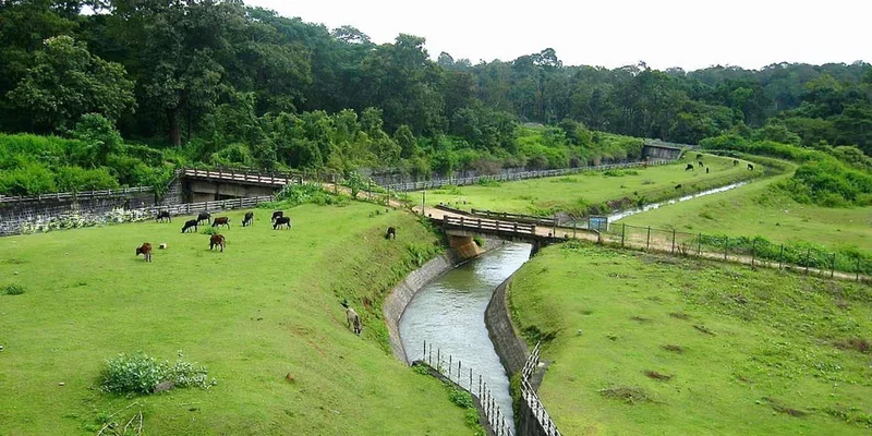 coorg-min